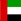 UAE Flag